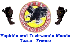 Taekwondo and Hapkido